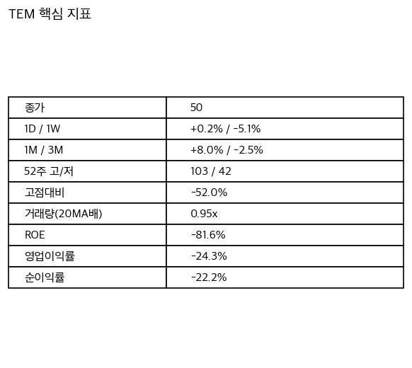 TEM 핵심 지표 요약